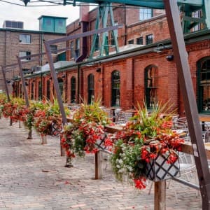 Landausflug in Toronto