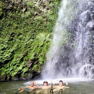 Landausflug in Kingstown (St. Vincent)