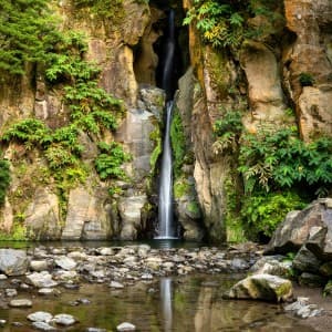 Landausflug in Ponta Delgada (São Miguel)