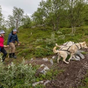 Landausflug in Kirkenes
