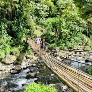 Landausflug in Kingstown (St. Vincent)