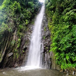 Landausflug in Kingstown (St. Vincent)