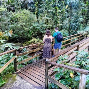 Landausflug in Kingstown (St. Vincent)