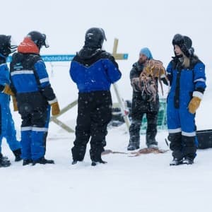 Landausflug in Kirkenes
