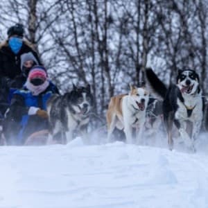 Landausflug in Kirkenes