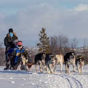 Landausflug in Kirkenes