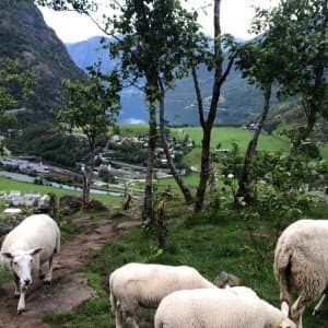 Landausflug in Flåm