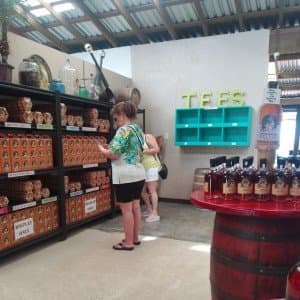 Landausflug auf Roatán