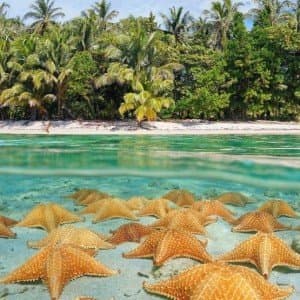 Landausflug in George Town (Grand Cayman)
