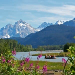 Landausflug in Haines (Alaska)