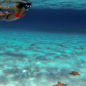Landausflug auf Cozumel