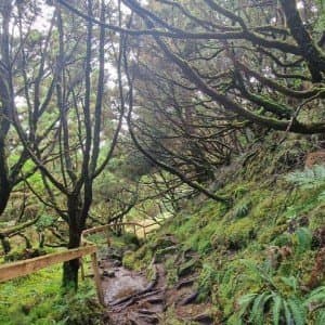 Landausflug in Praia da Vitória (Terceira)
