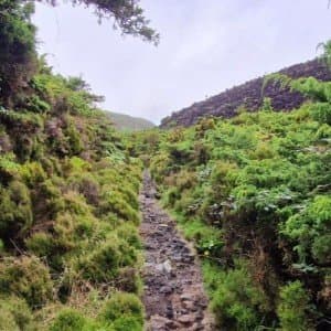 Landausflug in Praia da Vitória (Terceira)
