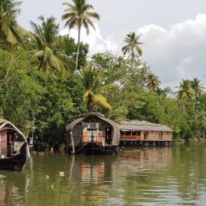 Landausflug in Cochin