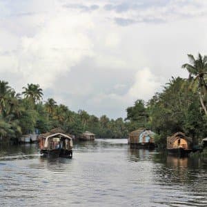 Landausflug in Cochin