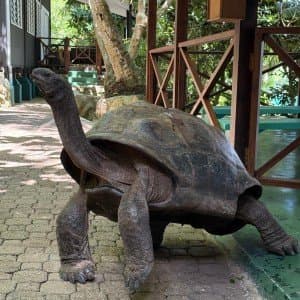 Landausflug auf Mahé (Seychellen)