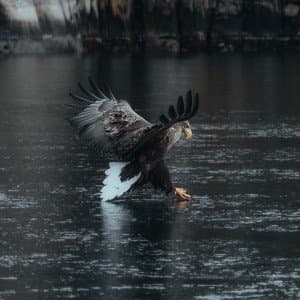 Landausflug in Sortland