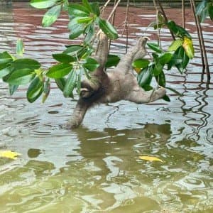 Landausflug in Puerto Limón