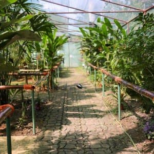 Landausflug in Puerto Limón