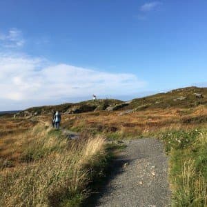 Landausflug in Andalsnes
