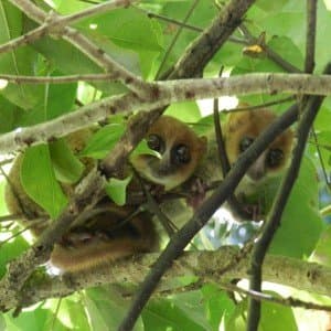Landausflug auf Nosy Be (Madagaskar)
