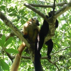 Landausflug auf Nosy Be (Madagaskar)