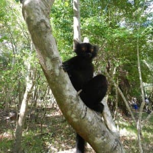 Landausflug auf Nosy Be (Madagaskar)