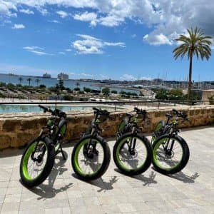 Landausflug auf Mallorca