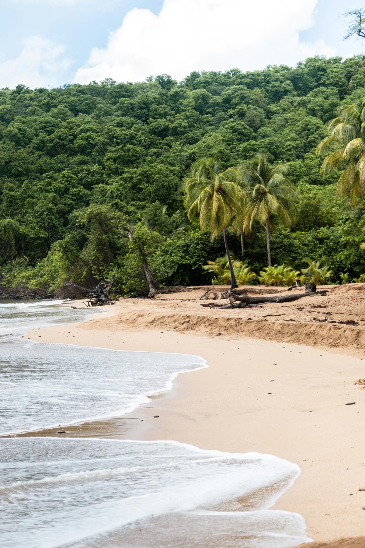Ein karibischer Strand auf Guadeloupe