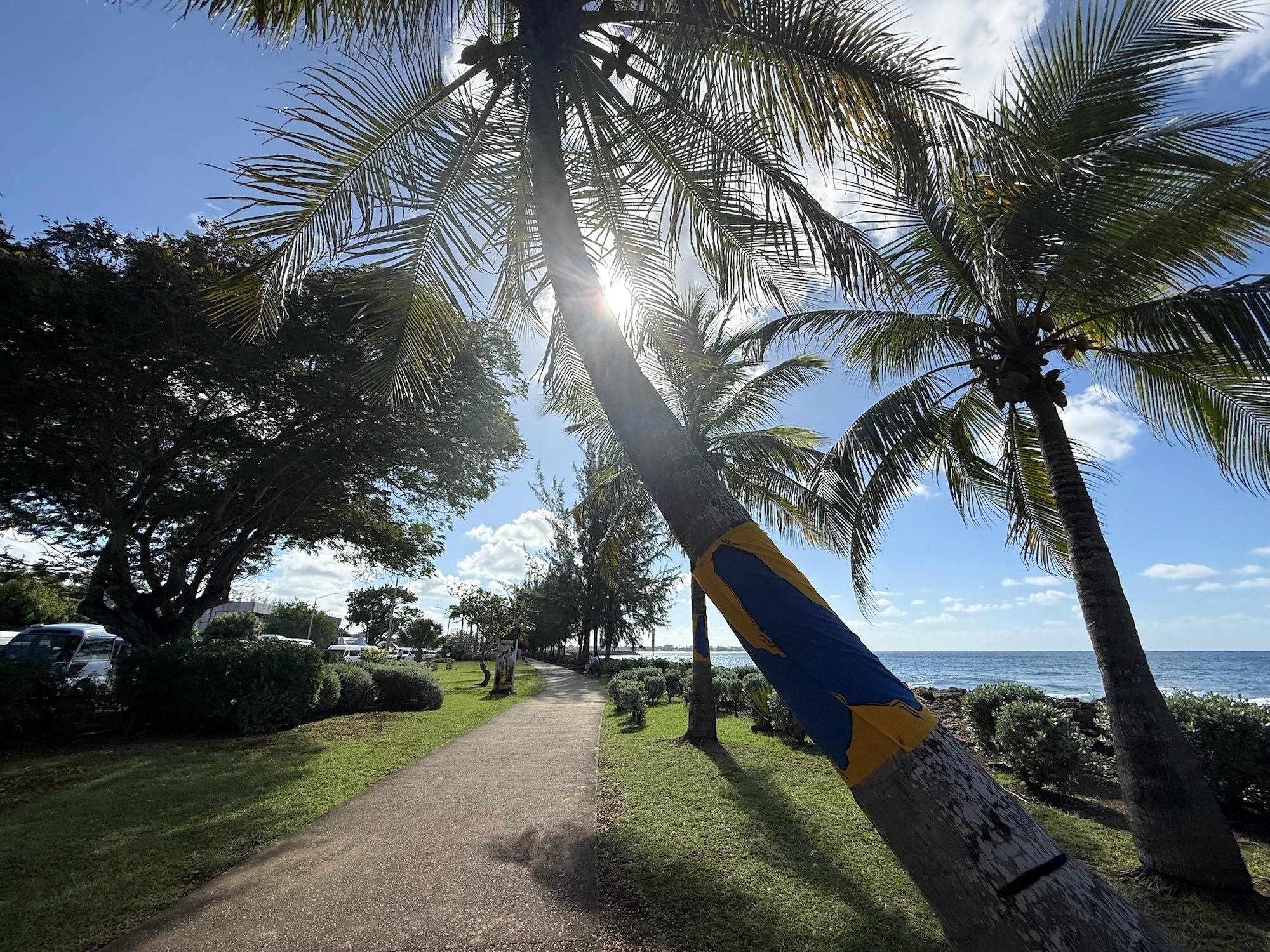 Ein typisches Küstenbild auf Barbados