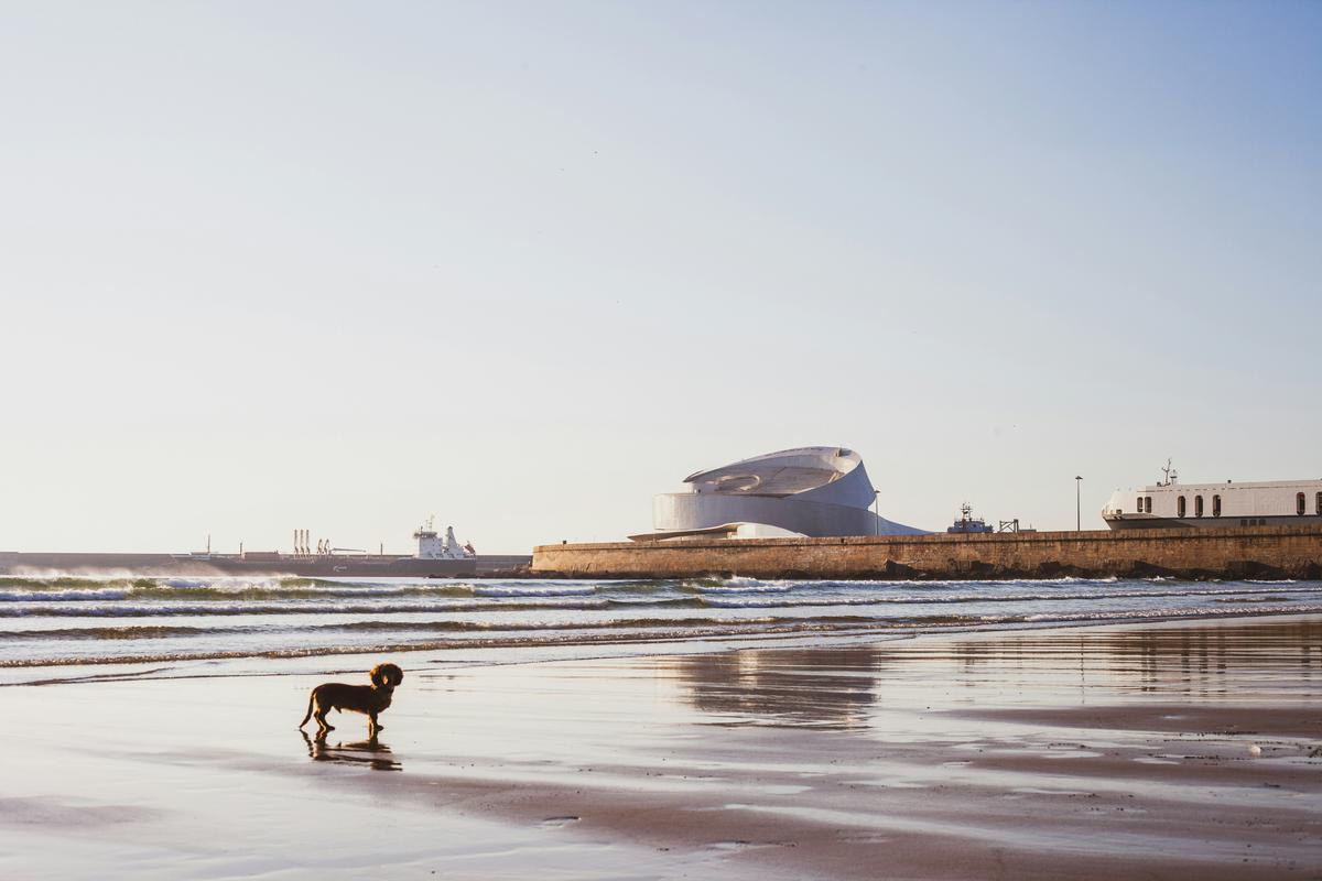 Das Kreuzfahrt-Terminal ist vom Strand aus zu sehen | Bild © Maria João Correia auf Unsplash
